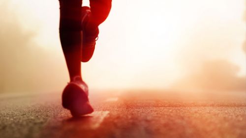 互联网体育公司正热：布局各有千秋