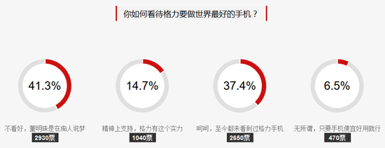 网友投票结果展示
