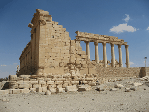 palmyra