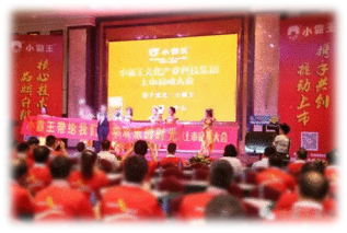 小霸王,VR