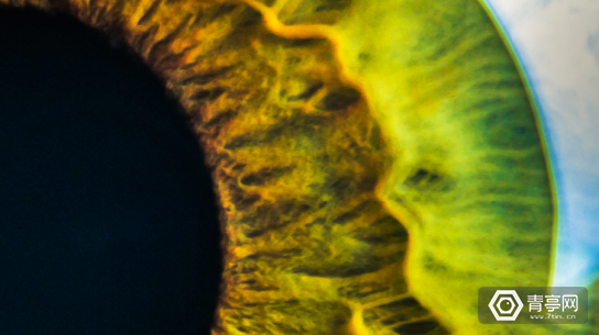 Eye_Banner-1200x505