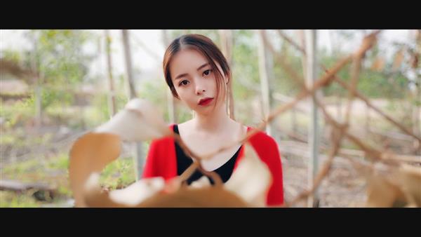 专业摄影师实测美图手机美图V6：双摄虚化效果太惊艳