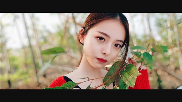 专业摄影师实测美图手机美图V6：双摄虚化效果太惊艳