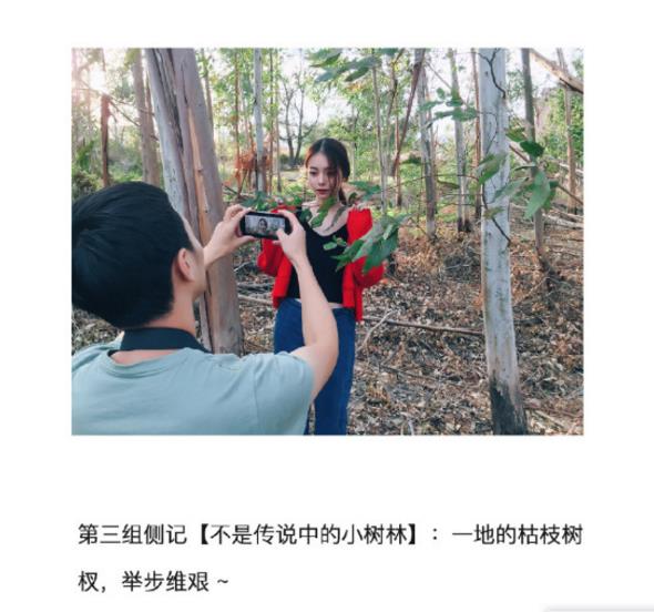 专业摄影师实测美图手机美图V6：双摄虚化效果太惊艳