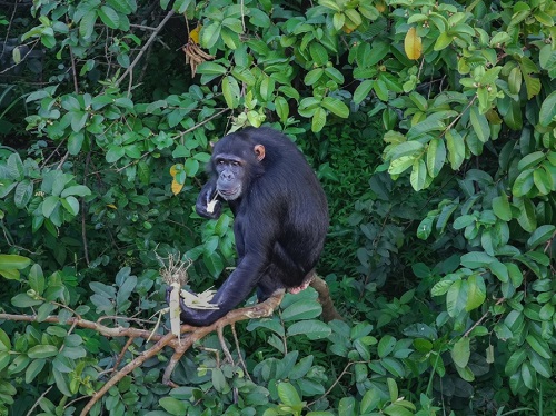 五一长假如何不虚此行 这款拍照神器值得拥有