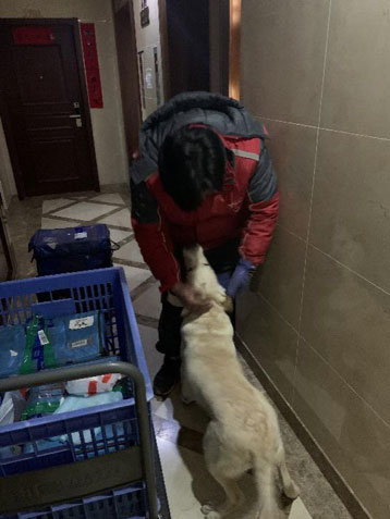 PLUSϻԱ˵PLUSԱ춼618˫11