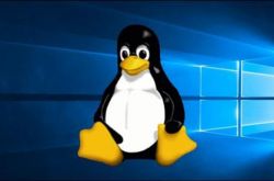 Linux 用户数呈爆炸式增长：Win10 同期出现下滑