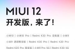 小米 MIUI 12 开发版来了：支持 32 款机型