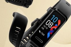 ��Ϊ��һ�������ֱ��������ֻ�ϸ���ع�