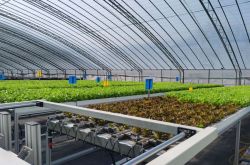 ������Ҫ������ũ�ˡ����ǻ����֣��߿Ƽ���Ķ�����6��