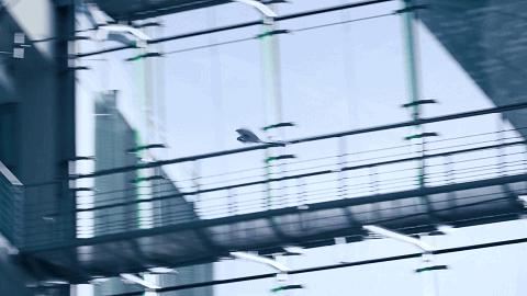 一家「仿生」上瘾的机器人公司,比波士顿动力大 67 岁:Festo 最新仿生雨燕问世