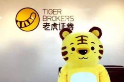 ���ɴ��ǣ��ϻ�֤ȯQ2Ӫ��3010����Ԫͬ����121.8%