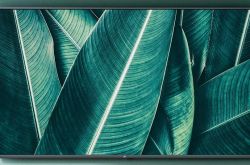 Һ������ӭ���Ǽ۳���С�ײ��ֵ����ϵ� 100 Ԫ�� 300 Ԫ