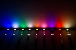 �����Z������ iPad/MacBook �� mini LED ��͸�ʿɴ� 30% ����