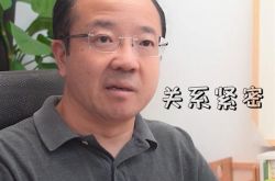 EMUI 11������ʲô��ϵ��