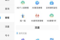 ������Ӫ�̻�Ӧ 5G �ײ��޷��Ļ� 4G��ȥӪҵ������