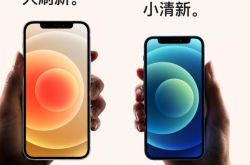 ƻ�� iPhone 12 mini/Pro Max ����ԤԼ������ 147 ��