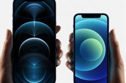 iPhone 12 mini ������������iPhone 12 Pro/Max � 1 ���µ���
