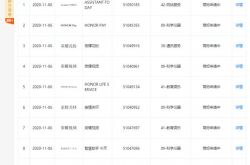 ��Ϊ�������޹�˾����