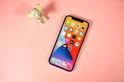 iPhone 13 �´��ţ�һ������޿���ơ����ֻ�ܿ� MagSafe