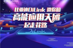 ���ǵϳ���ϵͳ DiLink ����� App ��������֧�ֻ�Ϊ HiCar