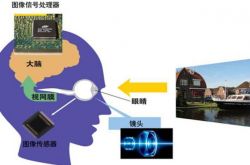 ������������ܡ����塱��ʵ����