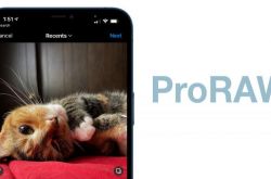 Instagram ֧�� iPhone 12 Pro �ϴ� ProRAW ��Ƭ����ת��Ϊ JPG ��ʽ