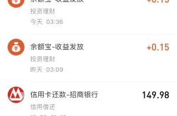 2020 ֧�������˵���ѯ�����ߣ������㻨�˶���Ǯ