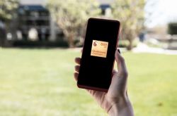 ��Ϣ��С�� 11 ��iQOO7��vivo X60 Pro+ ���� 1 �·���