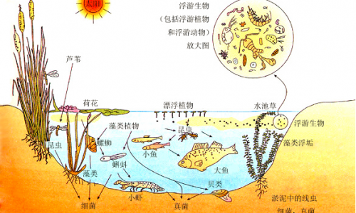 轻公司的生态构筑