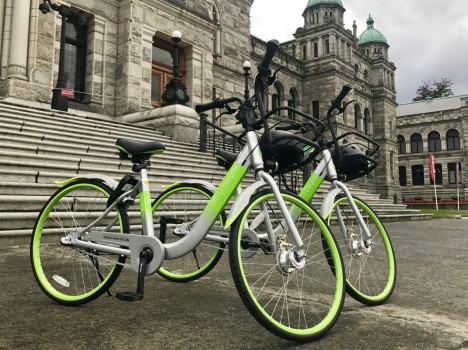 品牌视角下的共享单车:高维竞争与低维竞争 品牌视角下的共享单车:高维竞争与低维竞争