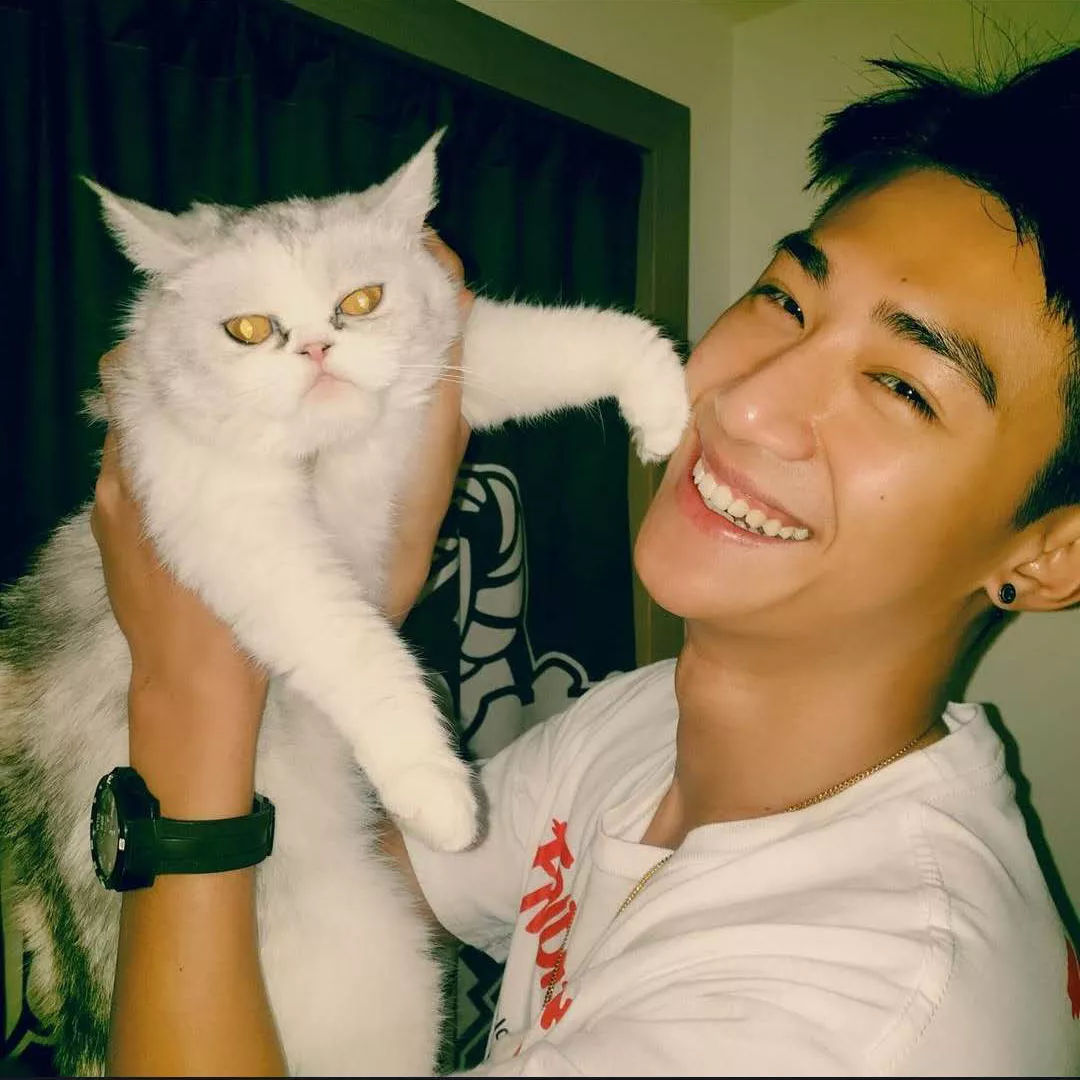 双11营销微播易为您献计这波抖音达人带你玩出新花样