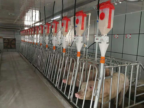 京东强势进军养猪业丁磊怕了吗