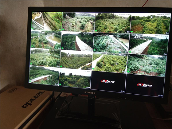 300亩柠檬果园如何进行监控覆盖腾达网桥助力守护安全