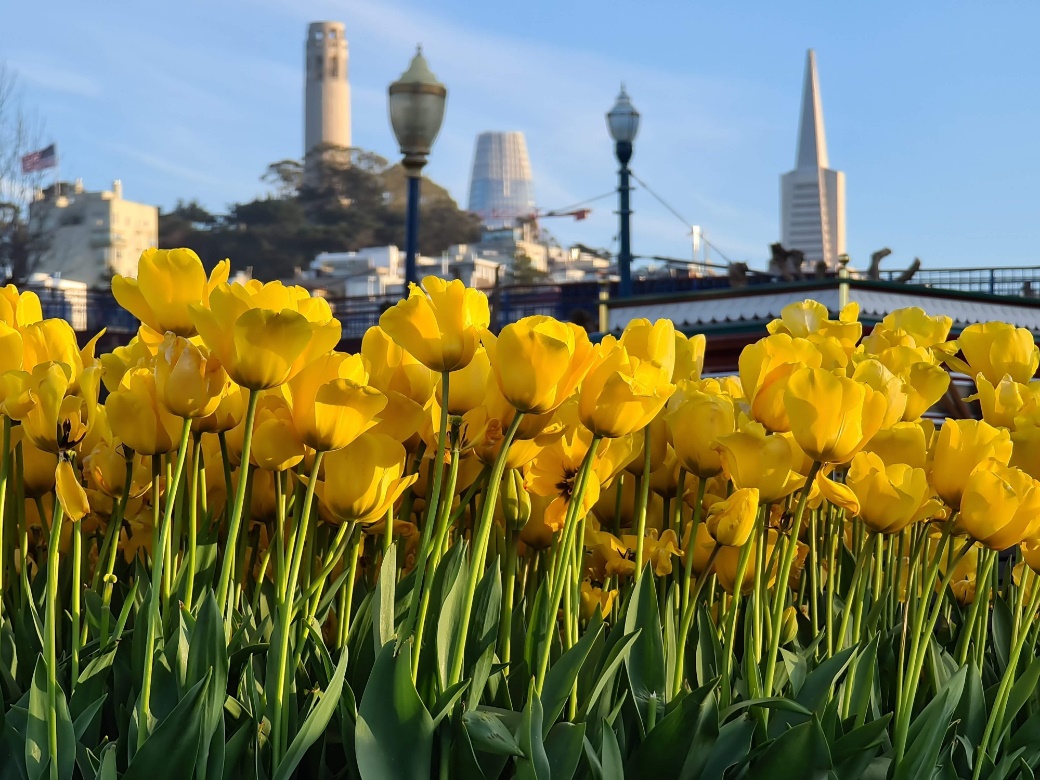 一组样张带你走进三星galaxys20ultra5g的视界