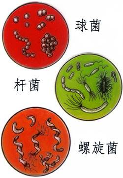 一次洗净从不拖泥带水华帝洗消烘存一体机h5洗得安心用的放心