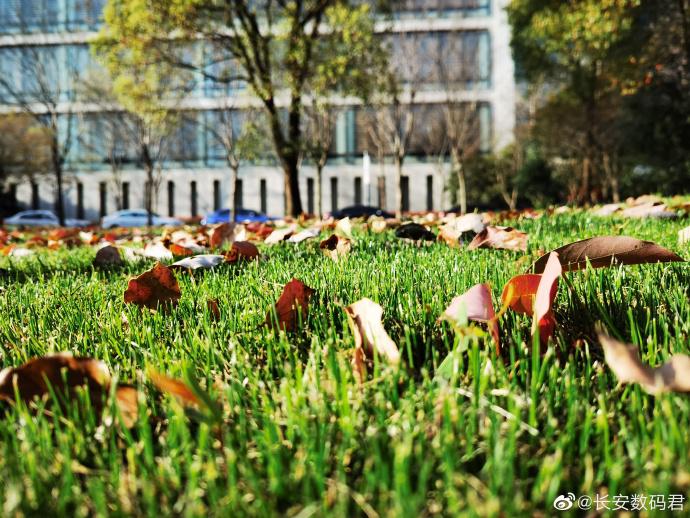 华为p40系列相机实拍照曝光十倍变焦下依旧清晰