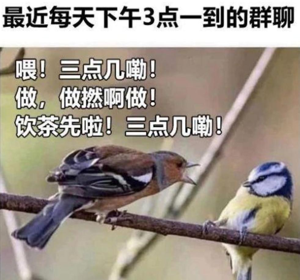 令人着迷的"三点饮茶",究竟隐藏着多少财富?