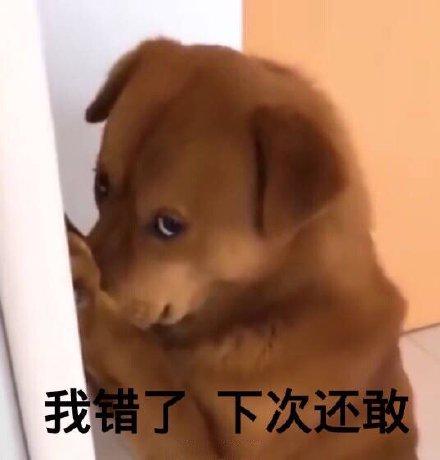 马斯克打脸简史