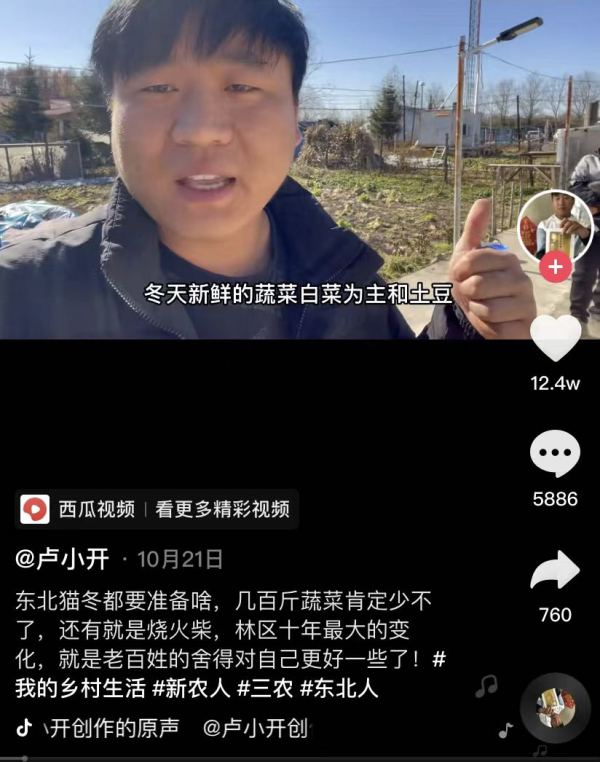 林区青年工作：守护绿色的青春梦想
