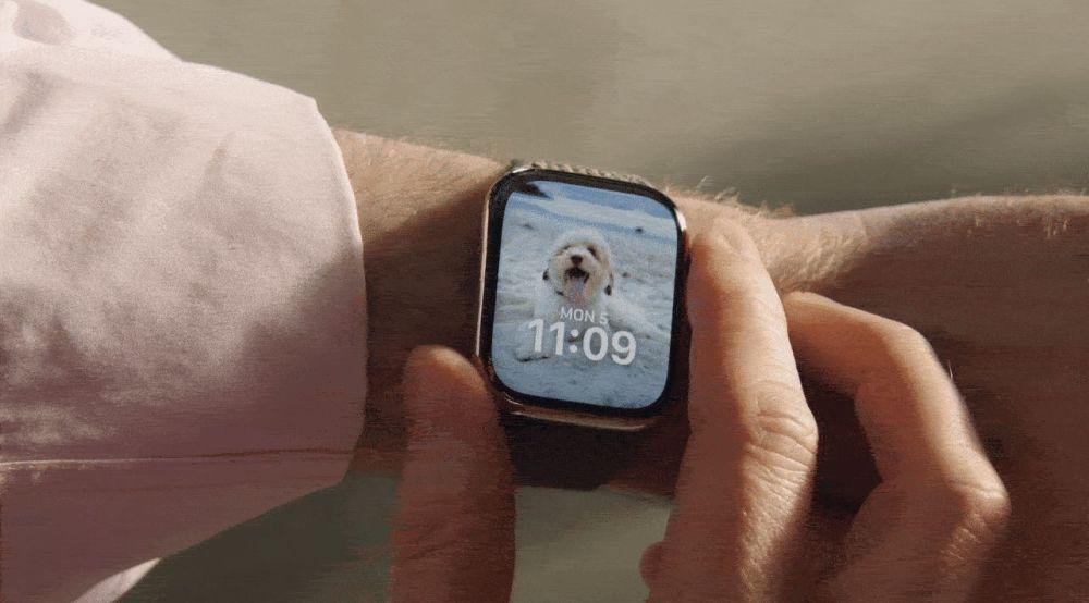 苹果秘密项目曝光！明年 iPhone 可能要迎来的“ ChatGPT 时刻”-第10张图片-奈飞网