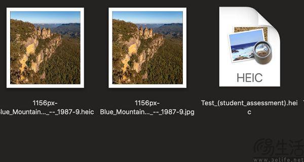 Chrome 重新支持 JPEG XL?谷歌这回被苹果打脸了-第4张图片-奈飞网 Chrome 重新支持 JPEG XL?谷歌这回被苹果打脸了-第4张图片-奈飞网