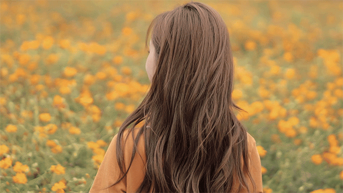 16.gif