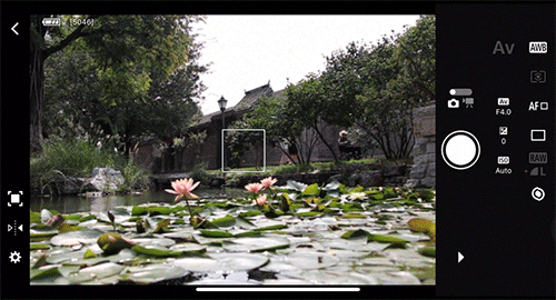 R100遥控拍摄动图.gif