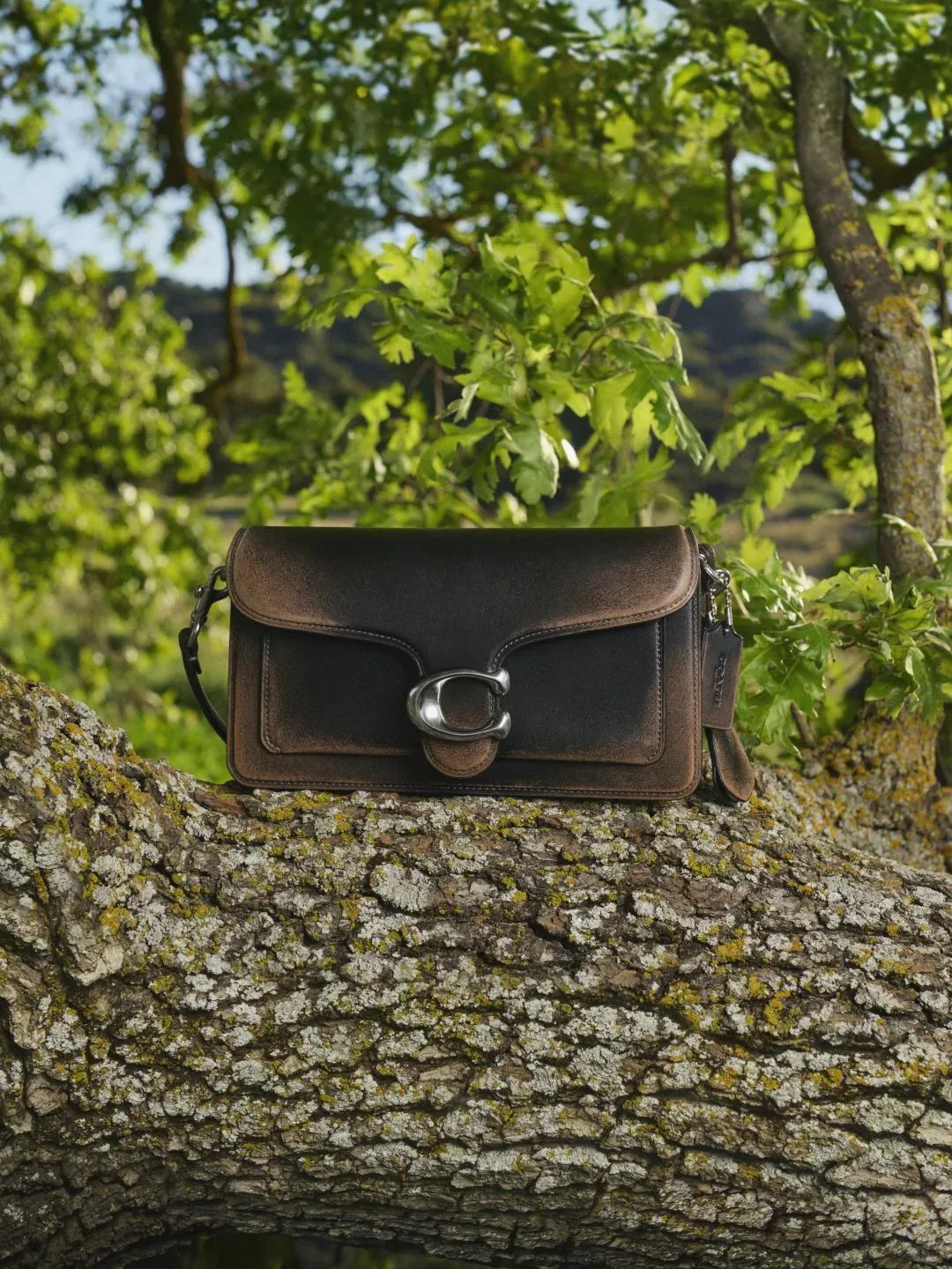 1763369861247325.png 1763369861247325.png