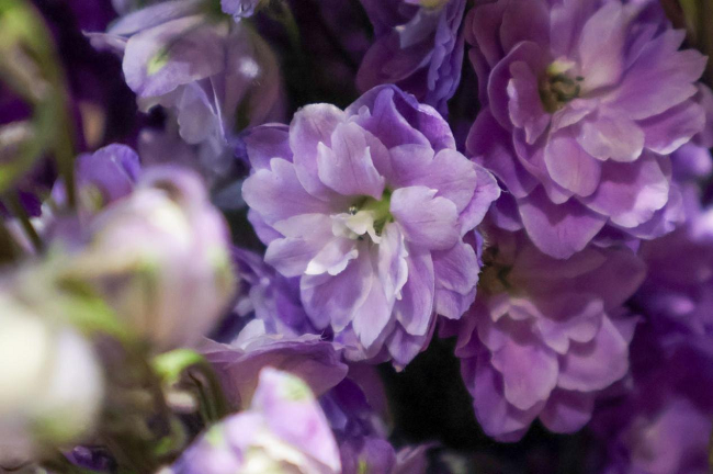 1764149813812068.png 图片 13.png