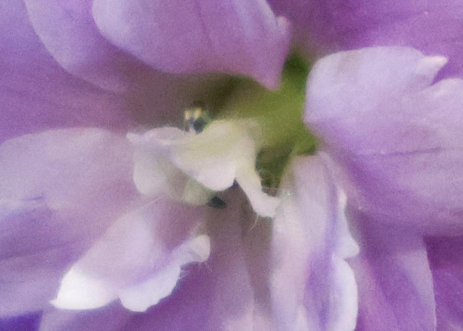 1764149828328836.png 图片 14.png