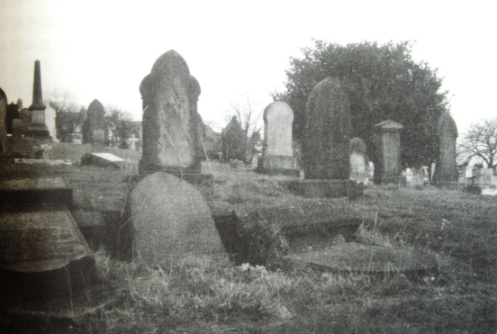 1765439725635158.png image.png