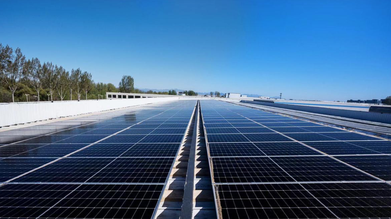 1765794386776418.png image.png