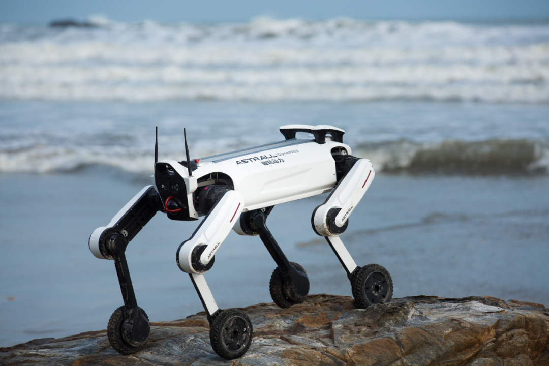 1766047497167317.png 1766047497167317.png